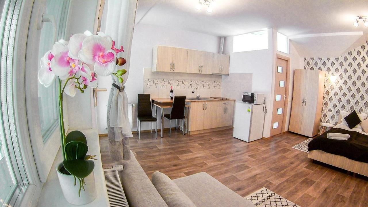 Nice & Cozy Apartments تيميشورا المظهر الخارجي الصورة