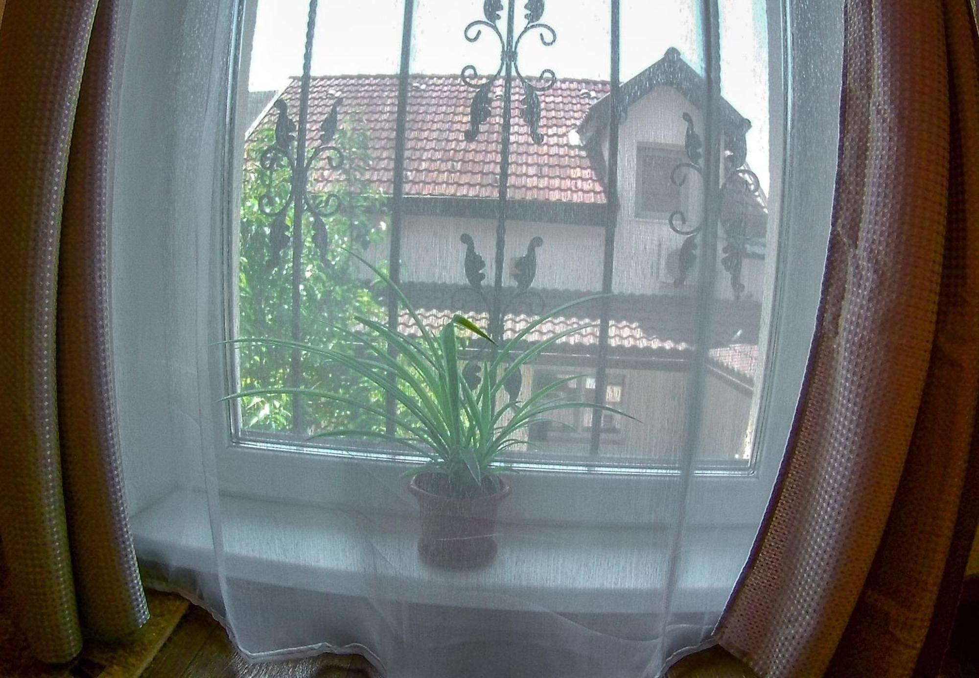 Nice & Cozy Apartments تيميشورا الغرفة الصورة